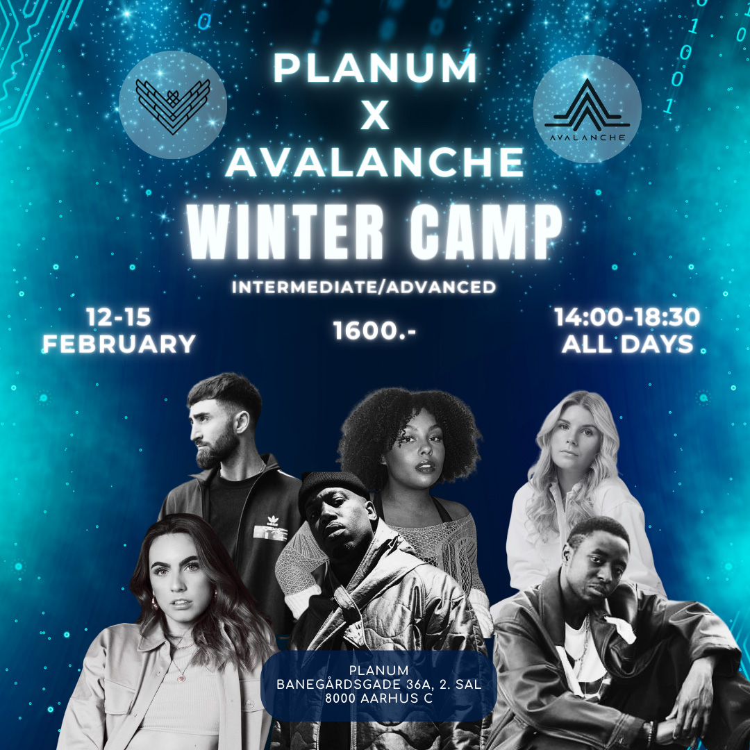 Planum x Avalanche Vinter Camp